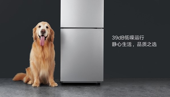 Xiaomi випустила двокамерний холодильник всього за 4000 гривень