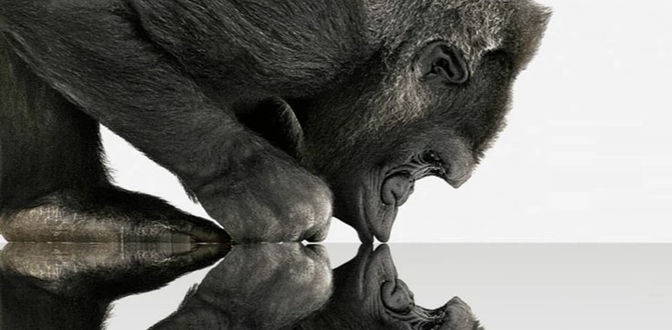 Скло Gorilla Glass Victus показує новий рівень захисту смартфона