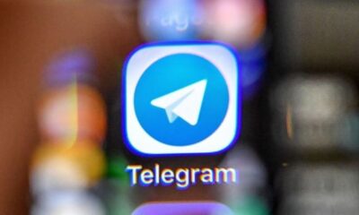 Telegram-бот для оперативного виявлення і реагування на різні порушення на виборах 2020