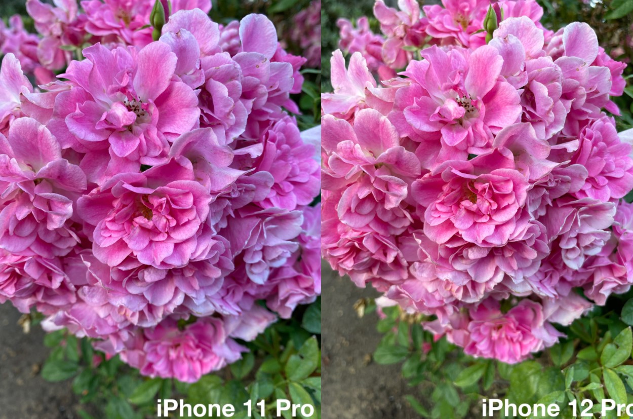 Порівняння камери iPhone 12 Pro і iPhone 11 Pro
