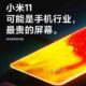 Xiaomi Mi 11 отримав дуже дорогий екран, його вартість, як у дисплея телевізора