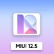 MIUI 12.5 стане останнім оновлення на довгий час