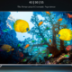 Компанія Xiaomi представила бюджетний телевізор Mi TV 5X