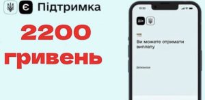 В Україні переглянуть виплати з Дії: кого можуть позбавити грошей