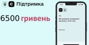 Українці отримають по 6660 гривень грошової допомоги від Handicap: хто може отримати