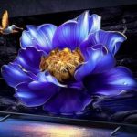 Офіційно представлена лійка розумних телевізорів для бідних TCL V8H Pro з 4K-екраном