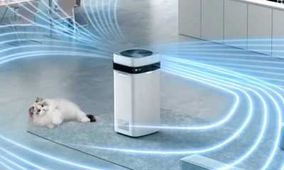 Xioami анонсувала очисник повітря з підставкою для кішки