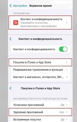 Telegram можуть автоматично видаляти з пристроїв Apple: як зберегти месенджер