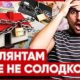 Якщо вчасно не сплатити штраф від ТЦК: наслідки