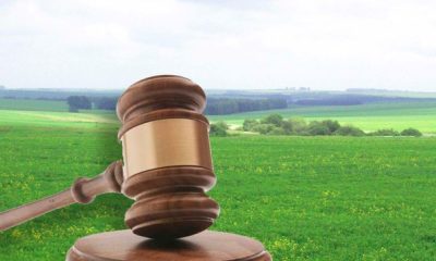 В Україні подешевшали земельні ділянки: названо нові ціни за областями