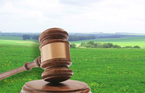 В Україні подешевшали земельні ділянки: названо нові ціни за областями