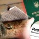 Чоловіків, які не стоять на обліку у ТЦК чи перебувають у розшуку можуть уникнути покарання: деталі
