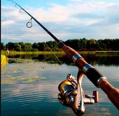 Сертифікати на навчання