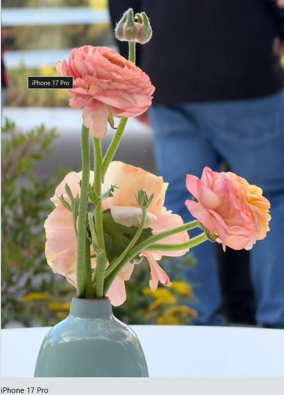 Новий iPhone 17 Pro порівняли за якістю фото з iPhone 16 Pro
