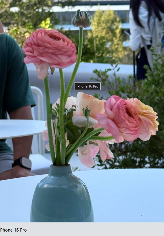 Новий iPhone 17 Pro порівняли за якістю фото з iPhone 16 Pro