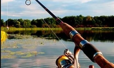 Сертифікати на навчання