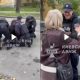 Поліцейський з посмішкою розбив жінкі голову в Києві — інцидент потрапив на відео
