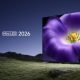 Xiaomi выпустила 98-дюймовый телевізор TV S Pro Mini LED с частотой до 330 Гц