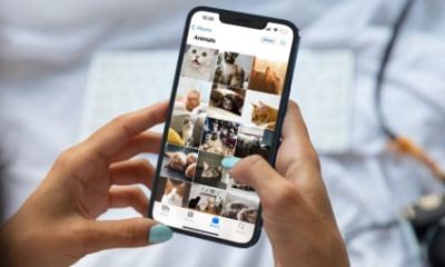 Apple нарешті дозволить стороннім додаткам робити фонові бекапи.