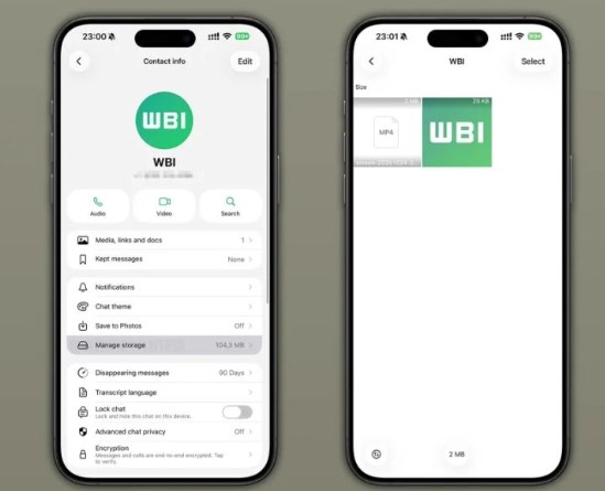 У WhatsApp стане простіше керувати файлами: що змінилося