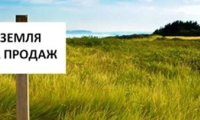 Іноземці зможуть купувати українську землю вже за тиждень: 10 тисяч гектарів в одні руки