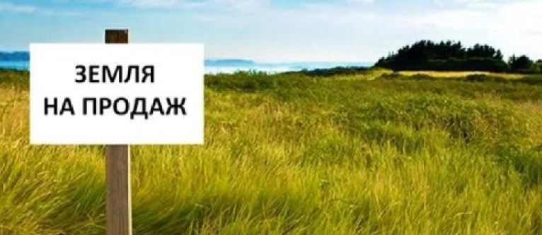 Іноземці зможуть купувати українську землю вже за тиждень: 10 тисяч гектарів в одні руки