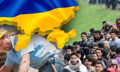Україна відкриває двері для робітників з Африки: порятунок для економіки чи виклик для українців