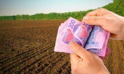Українці зможуть заробляти на державній землі: в Україні готують нові облігації