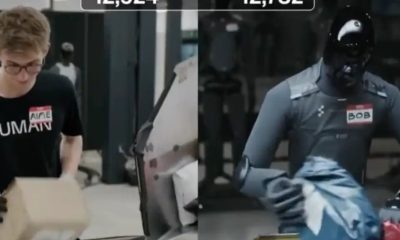 Раніше автоматизація загрожувала переважно офісним професіям, то тепер машини дедалі ближче підходять і до фізичної праці.