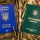 Чи потрібен «Резерв+», щоб отримати консульські послуги: що змінилося для чоловіків за кордоном